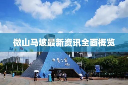 微山马坡最新资讯全面概览