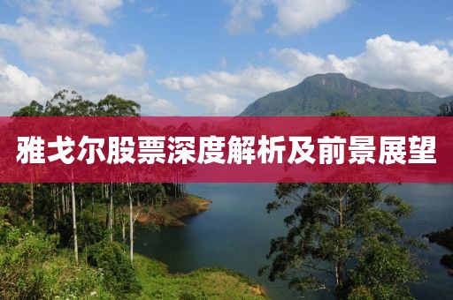 雅戈尔股票深度解析及前景展望