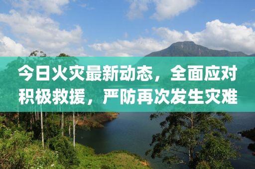 今日火灾最新动态，全面应对积极救援，严防再次发生灾难