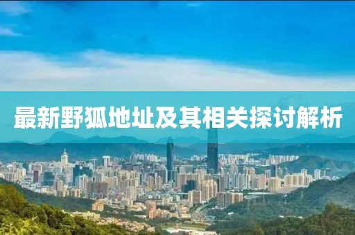最新野狐地址及其相关探讨解析