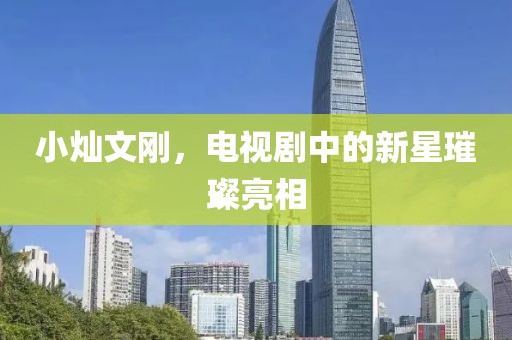 小灿文刚，电视剧中的新星璀璨亮相