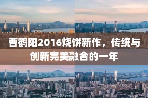曹鹤阳2016烧饼新作，传统与创新完美融合的一年