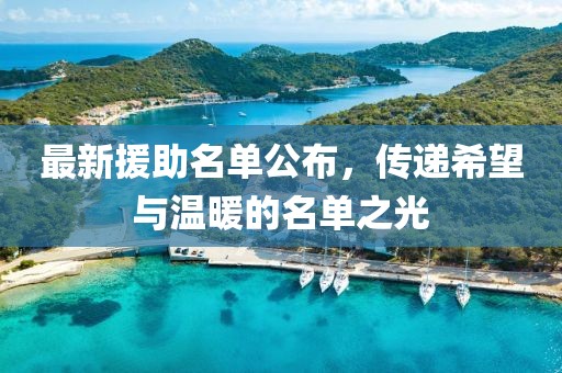 最新援助名单公布，传递希望与温暖的名单之光