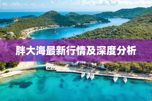 胖大海最新行情及深度分析