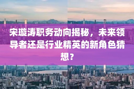 宋璇涛职务动向揭秘，未来领导者还是行业精英的新角色猜想？