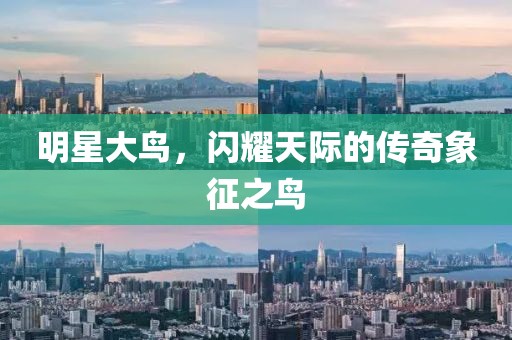 明星大鸟，闪耀天际的传奇象征之鸟