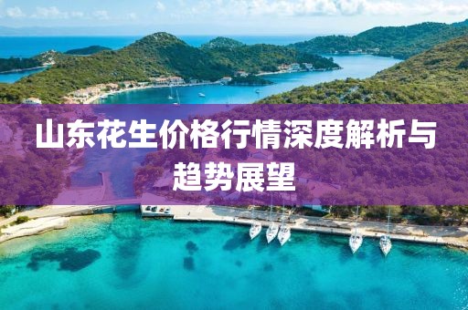 山东花生价格行情深度解析与趋势展望