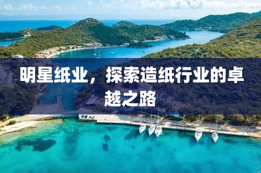 明星纸业，探索造纸行业的卓越之路