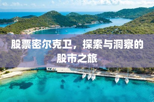 股票密尔克卫，探索与洞察的股市之旅