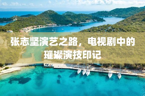 张志坚演艺之路，电视剧中的璀璨演技印记