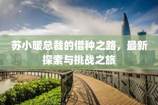 苏小暖总裁的借种之路，最新探索与挑战之旅