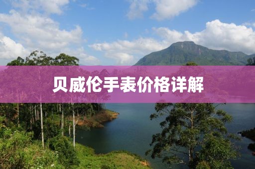 贝威伦手表价格详解