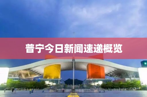 普宁今日新闻速递概览