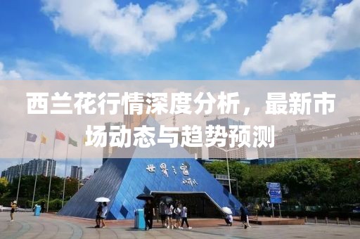 西兰花行情深度分析，最新市场动态与趋势预测