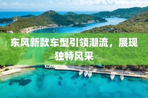 东风新款车型引领潮流，展现独特风采