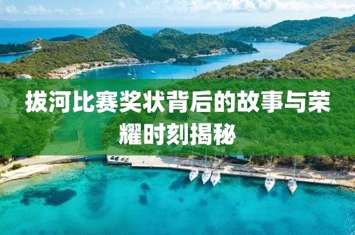 拔河比赛奖状背后的故事与荣耀时刻揭秘