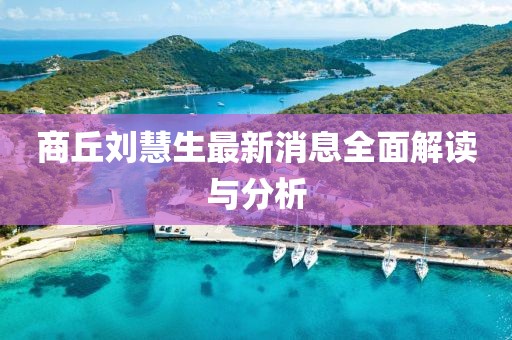 商丘刘慧生最新消息全面解读与分析