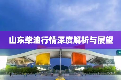 山东柴油行情深度解析与展望