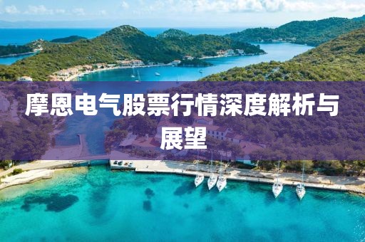 摩恩电气股票行情深度解析与展望