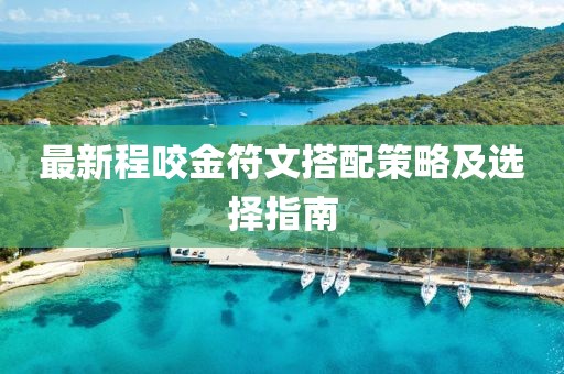 最新程咬金符文搭配策略及选择指南
