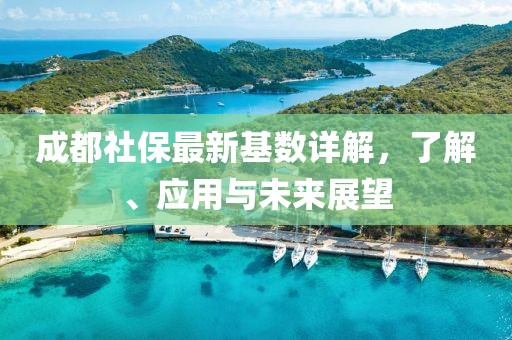 成都社保最新基数详解，了解、应用与未来展望