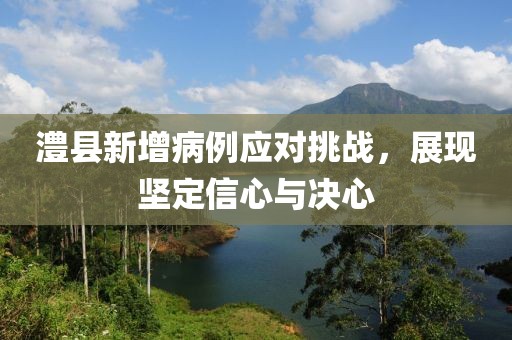 澧县新增病例应对挑战，展现坚定信心与决心