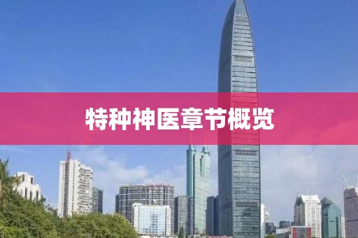 特种神医章节概览