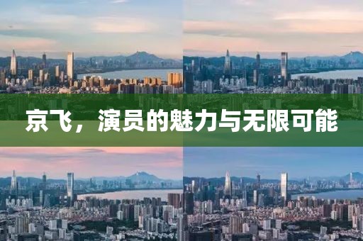 京飞，演员的魅力与无限可能