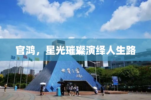 官鸿，星光璀璨演绎人生路