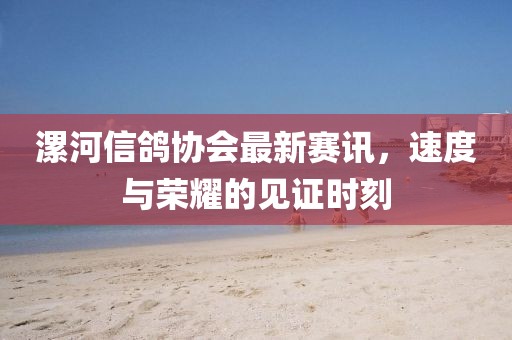 漯河信鸽协会最新赛讯，速度与荣耀的见证时刻