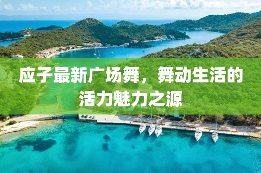 应子最新广场舞，舞动生活的活力魅力之源