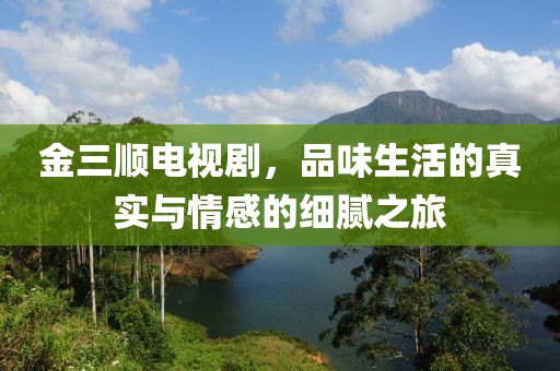 金三顺电视剧，品味生活的真实与情感的细腻之旅