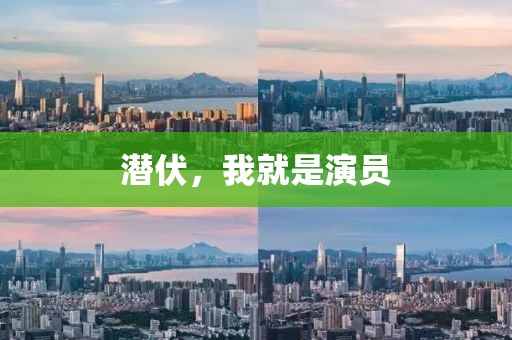 潜伏，我就是演员