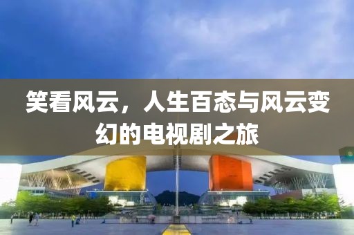 笑看风云，人生百态与风云变幻的电视剧之旅