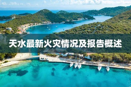 天水最新火灾情况及报告概述