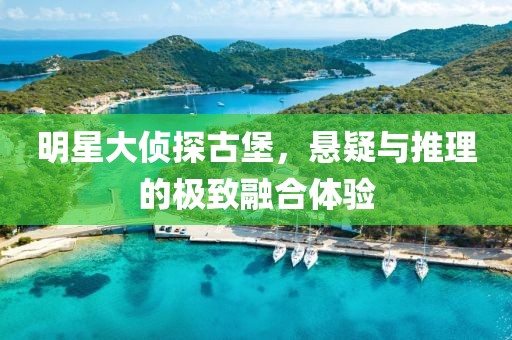 明星大侦探古堡，悬疑与推理的极致融合体验