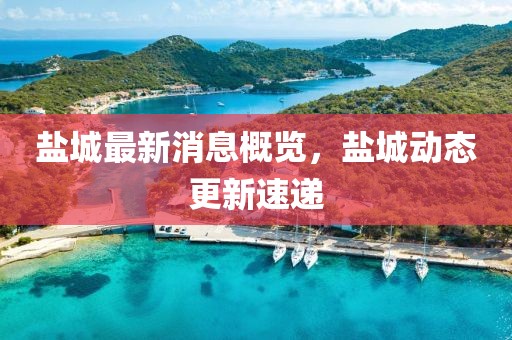 盐城最新消息概览，盐城动态更新速递