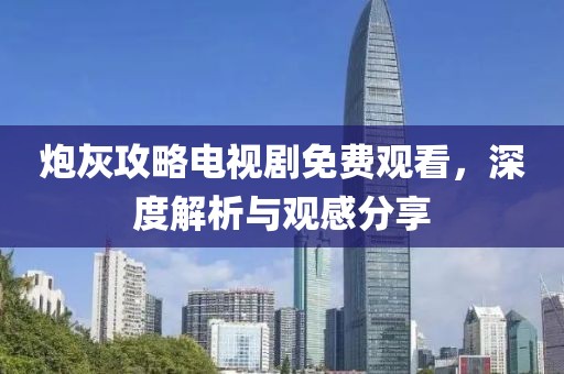炮灰攻略电视剧免费观看，深度解析与观感分享