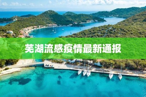 芜湖流感疫情最新通报