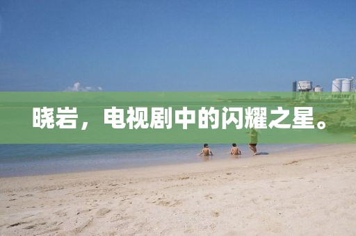 晓岩，电视剧中的闪耀之星。
