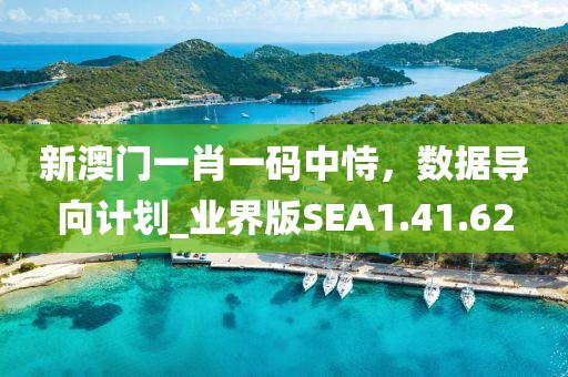 新澳门一肖一码中恃，数据导向计划_业界版SEA1.41.62