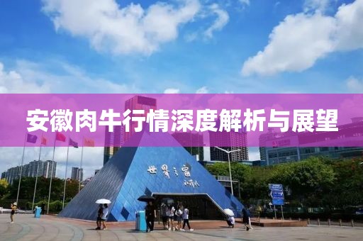 安徽肉牛行情深度解析与展望