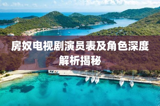 房奴电视剧演员表及角色深度解析揭秘