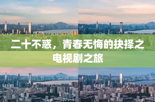 二十不惑，青春无悔的抉择之电视剧之旅