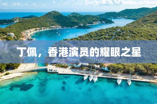 丁佩，香港演员的耀眼之星