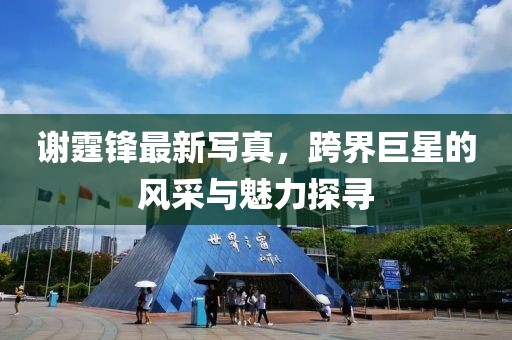 谢霆锋最新写真，跨界巨星的风采与魅力探寻