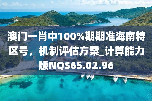 澳门一肖中100%期期准海南特区号，机制评估方案_计算能力版NQS65.02.96