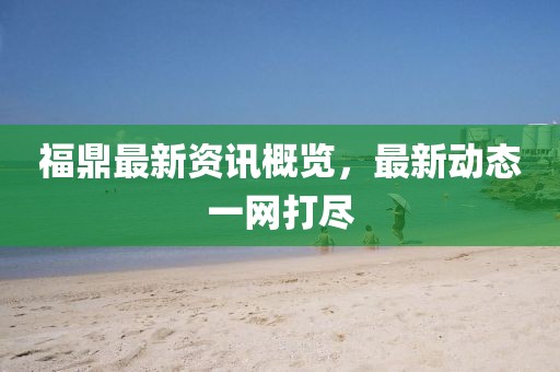 福鼎最新资讯概览，最新动态一网打尽