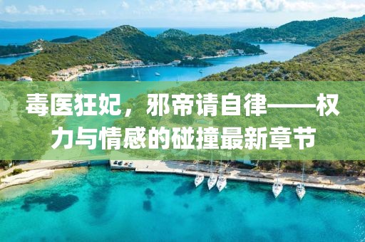 毒医狂妃，邪帝请自律——权力与情感的碰撞最新章节