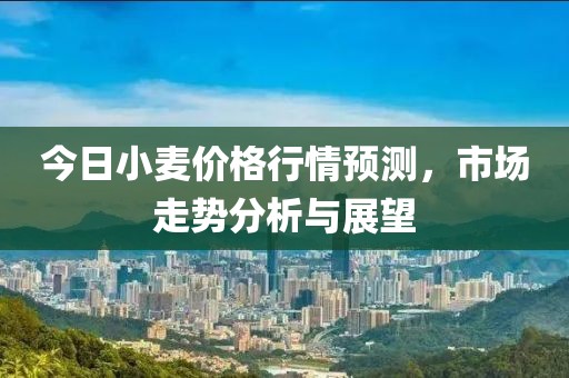 今日小麦价格行情预测，市场走势分析与展望
